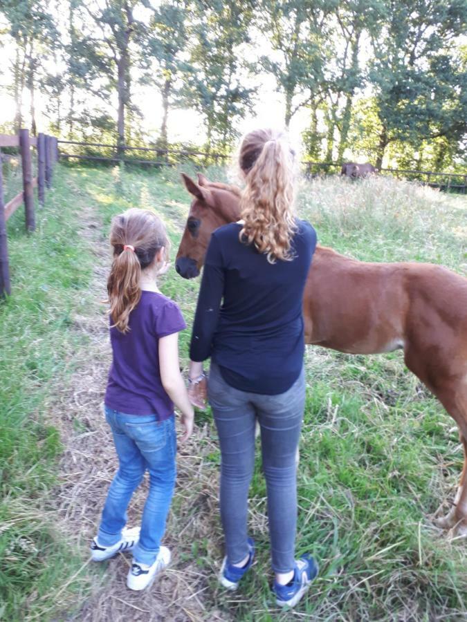 Moult Gite Du Haras De Vales מראה חיצוני תמונה