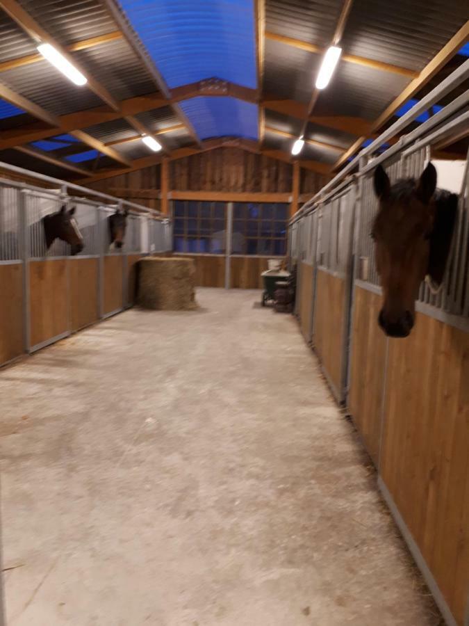Moult Gite Du Haras De Vales מראה חיצוני תמונה